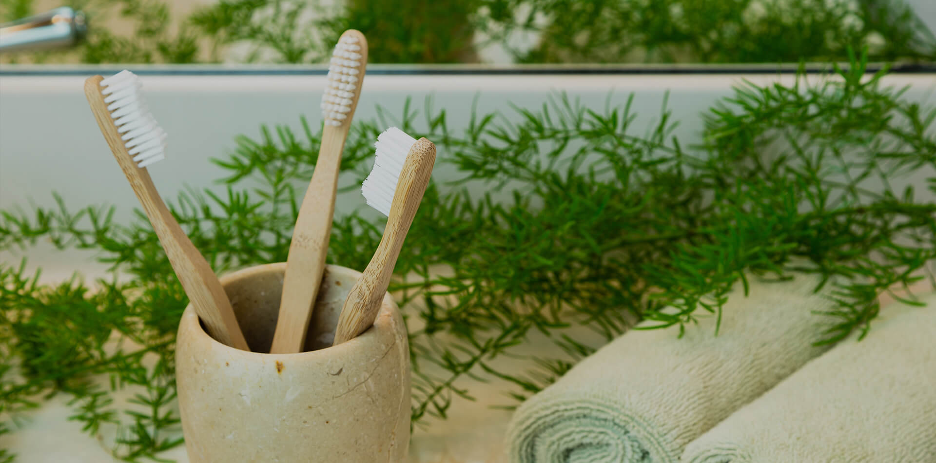 Bamboo Toothbrush Manufacturer