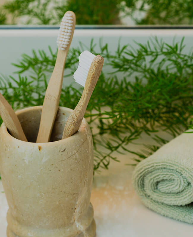 Bamboo Toothbrush Supplier